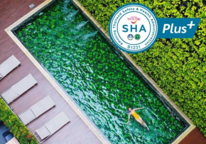 Cross Vibe Chiang Mai Decem Nimman Hotel - SHA Extra Plus